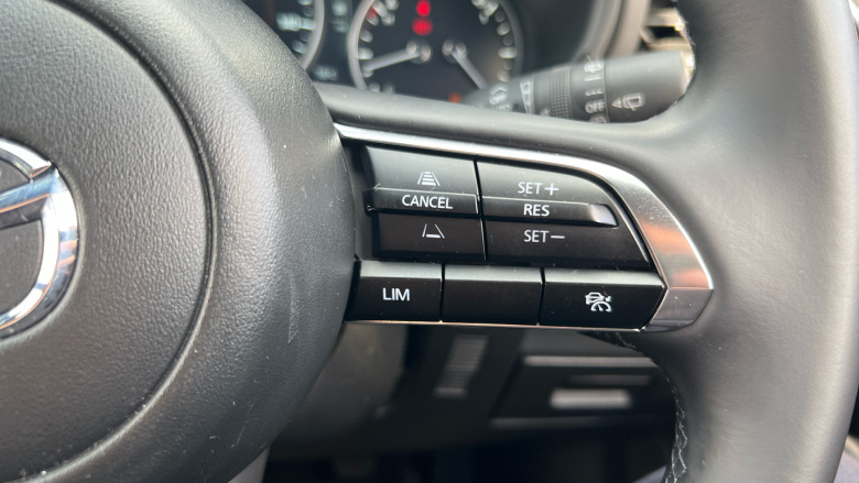 Mazda 3 2.5 e-Skyactiv G MHEV [140] Homura 5dr Petrol Hatchback